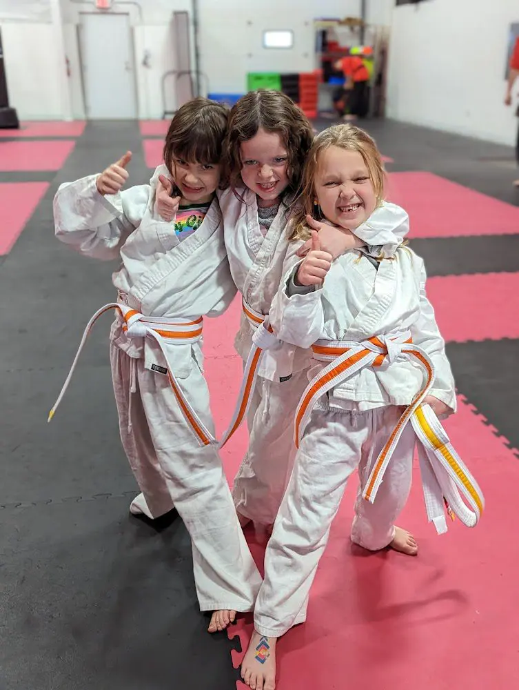 Kicks Unlimited Provides Martial Arts Classes in Stoughton